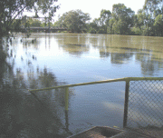 Darling River at 10.6 metres, at Baker Park